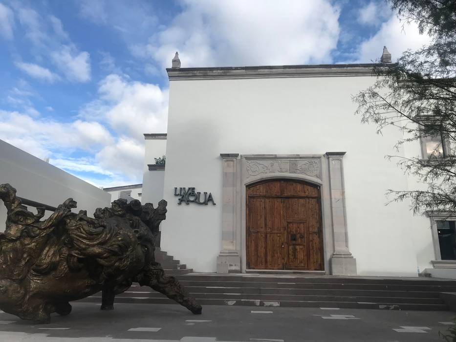 Live Aqua San Miguel de Allende, FM ARQUITECTOS FM ARQUITECTOS Pasillos, vestíbulos y escaleras coloniales