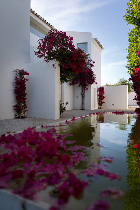 Casa Isabelle Alejandro Giménez Architects Garden Pond