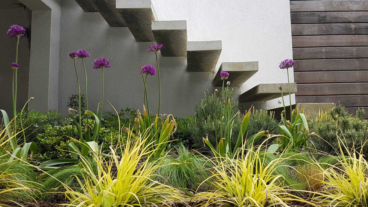 Jardin pour une maison contemporaine, Créateurs d'Interieur Créateurs d'Interieur حديقة Zen
