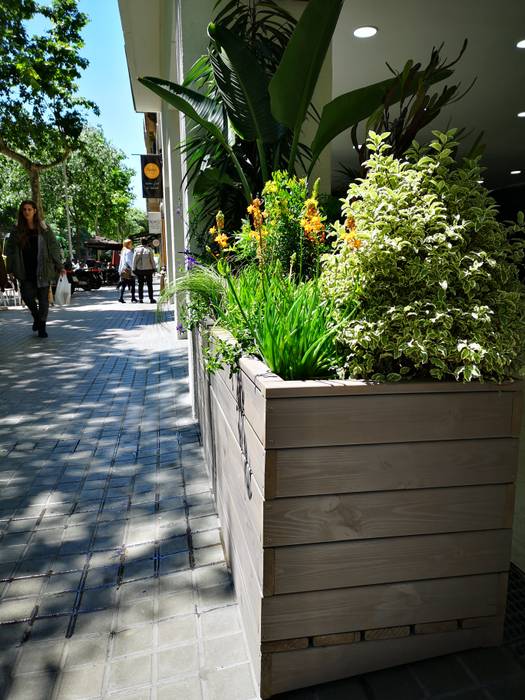 Jardinera de madera a medida en color gris piedra. Nosaltres Toquem Fusta S.L. Pasillos, vestíbulos y escaleras de estilo moderno jardinera madera,plantas tropicales,planta mediterranea,jardinera a medida,decoración