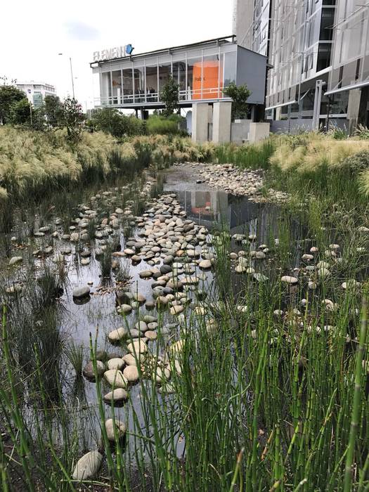 Humedales del Edificio Elemento Helecho SAS Jardines en la fachada