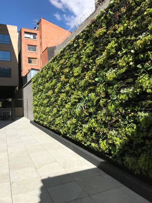 Flor Morado Plaza, Helecho SAS Helecho SAS Jardins de fachada