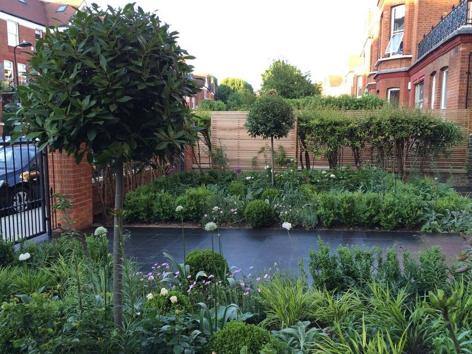 Front garden Landscaper in London Antejardines garden,garden design,plant design, allium,