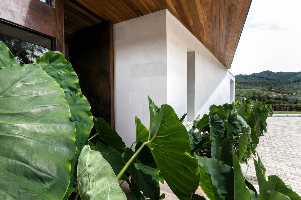 CASA ENTREMUROS, BASSICO ARQUITECTOS BASSICO ARQUITECTOS Flat roof لکڑی Wood effect