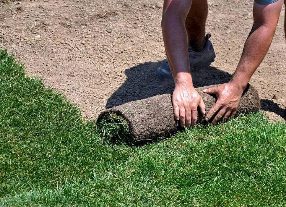 Tiger Yapı ve Peyzaj, Tiger Yapı Peyzaj a.ş Tiger Yapı Peyzaj a.ş Estanques de jardín