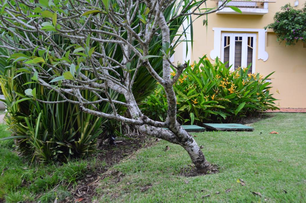 PAISAGISMO EM CONDOMÍNIO DE CASAS NA PRAIA, Mazorra Studio Mazorra Studio فناء أمامي