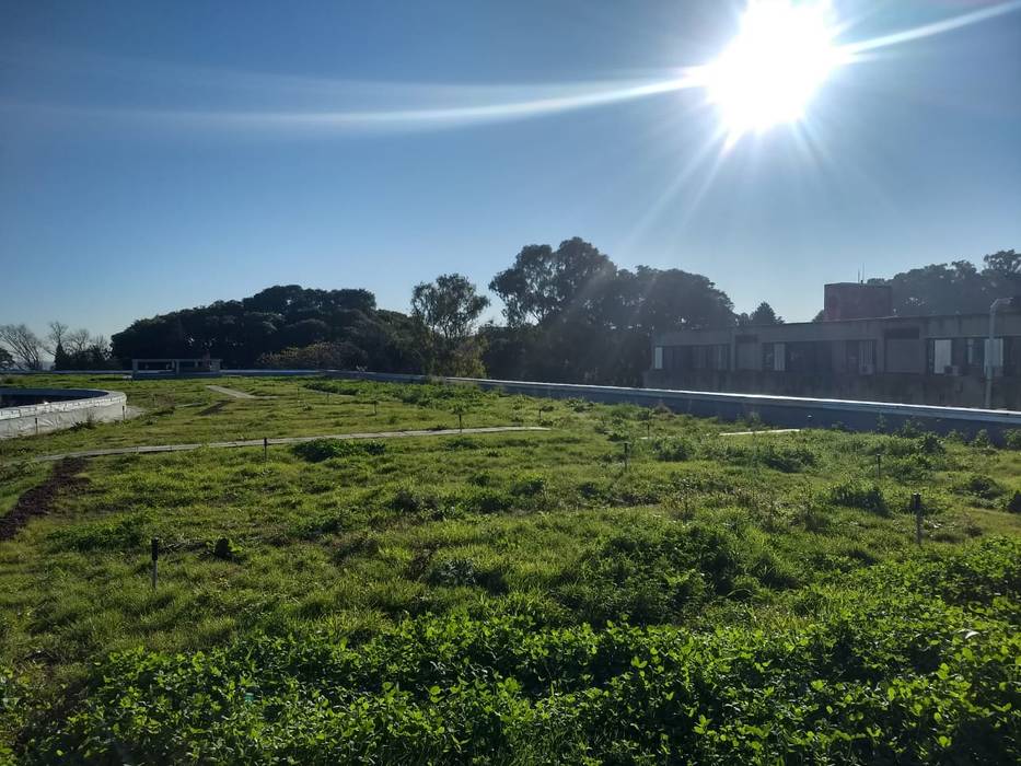 Terraza al sol Eco Cubiertas S.A. Espacios comerciales Escuelas