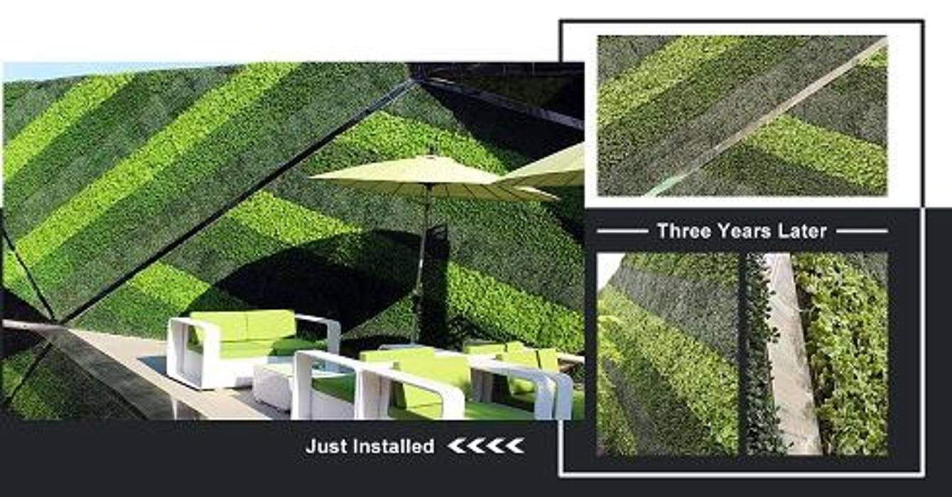 Hositality Green wall Sunwing Industries Ltd Commercial spaces Plastic Commercial Spaces