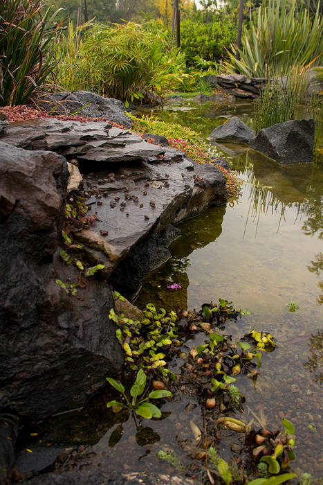 Casa DFC, Paisare - Paisajismo y arquitectura Paisare - Paisajismo y arquitectura Garden Pond