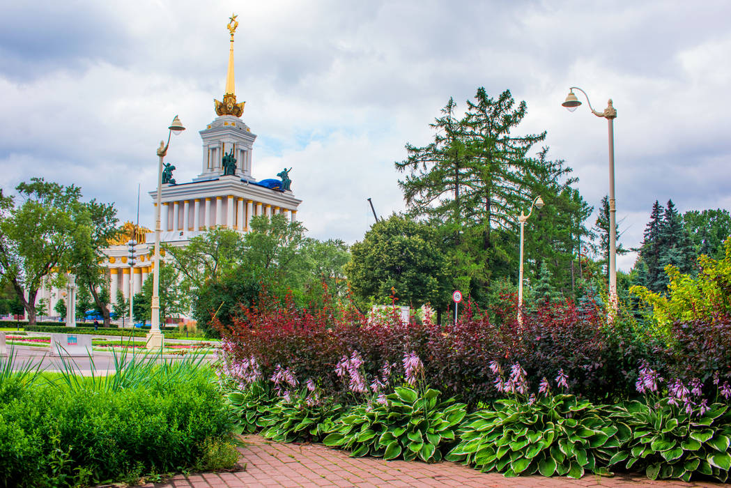 Ландшафтный парк ВДНХ, г. Москва, Primula Primula مساحات تجارية صالات عرض