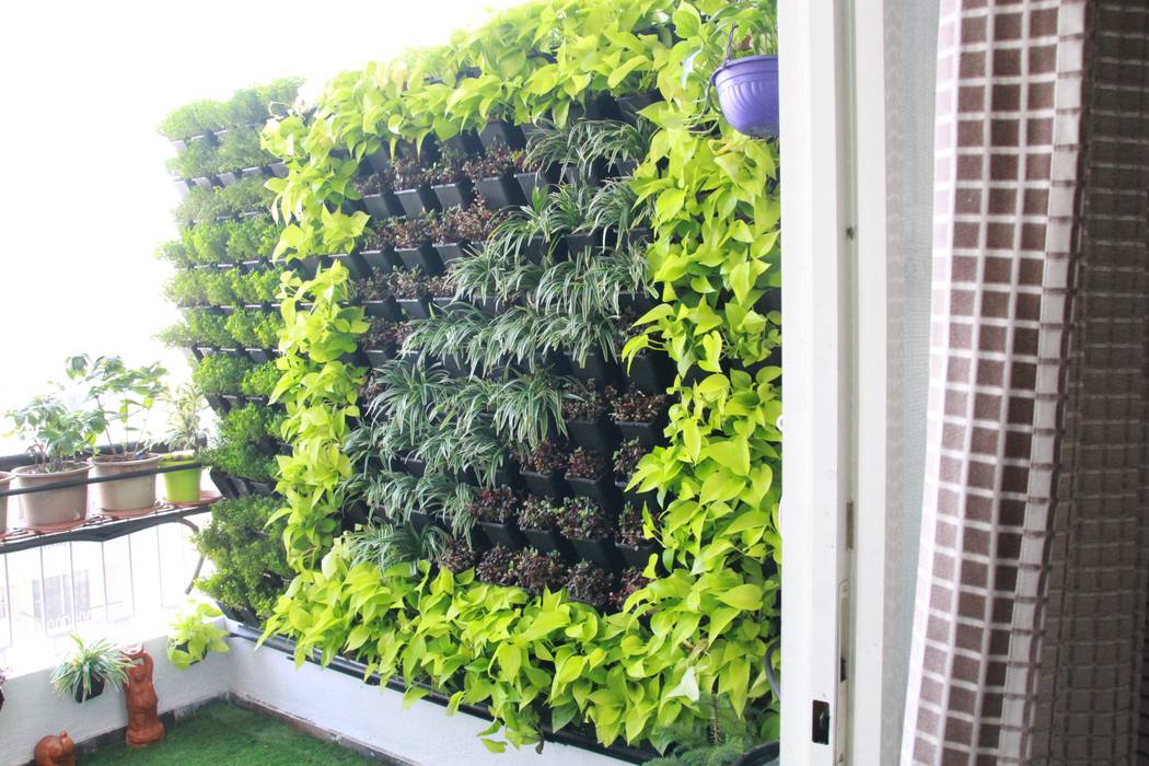 Living Wall Interioforest Plantscaping Solutions Balcony