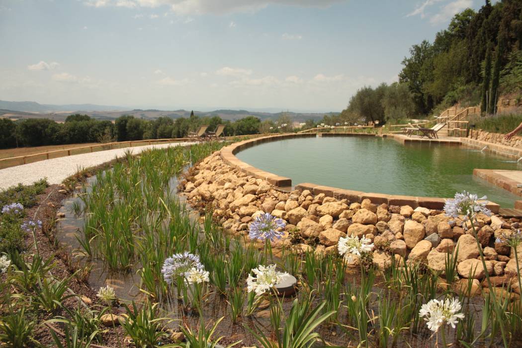 Biopiscina Toscana Rigenera Piscina moderna biopiscina,biopiscine,piscine naturali,biolaghi