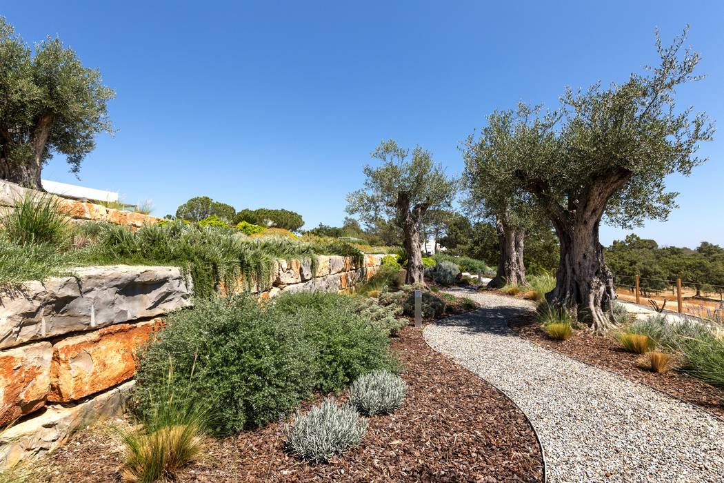 Casa Raio de Luz em Porches, Jardíssimo Jardíssimo Tropischer Garten