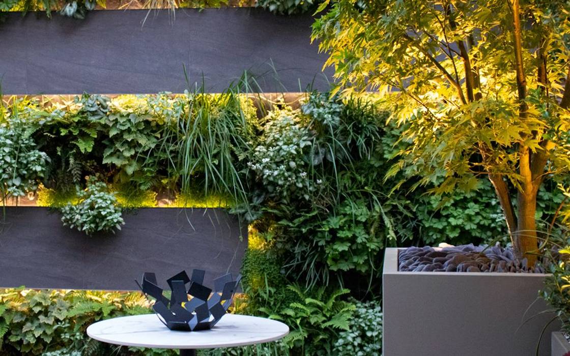 Small contemporary roof terrace garden with a green wall MyLandscapes Modern garden roof,terrace,garden,design,green,wall,lighting,landscaping,modern