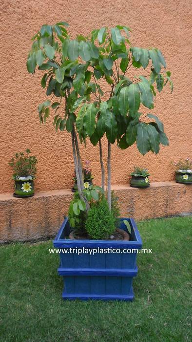 Triplay Plástico Triplay Plástico Jardines industriales Plástico