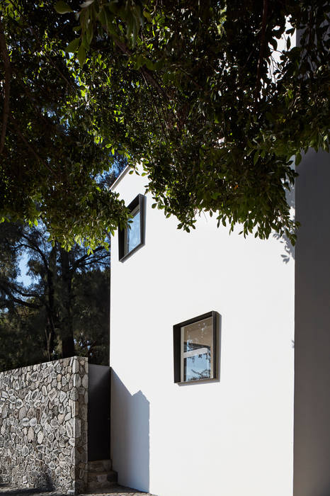 casa Araucaria, PETRAM ARQUITECTURA PETRAM ARQUITECTURA منازل صغيرة