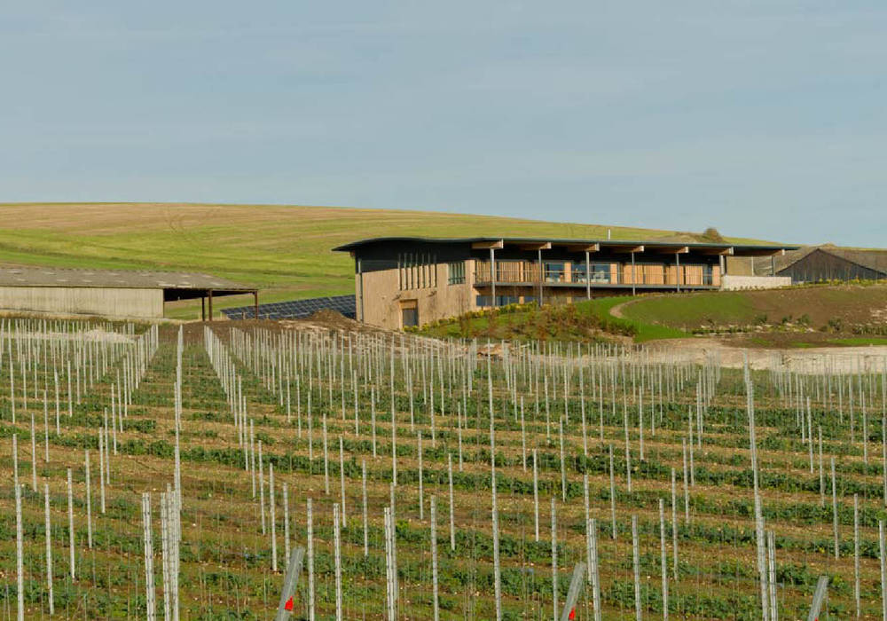 Rathfinny Winery - Designcubed Architects Designcubed Commercial spaces Gastronomy