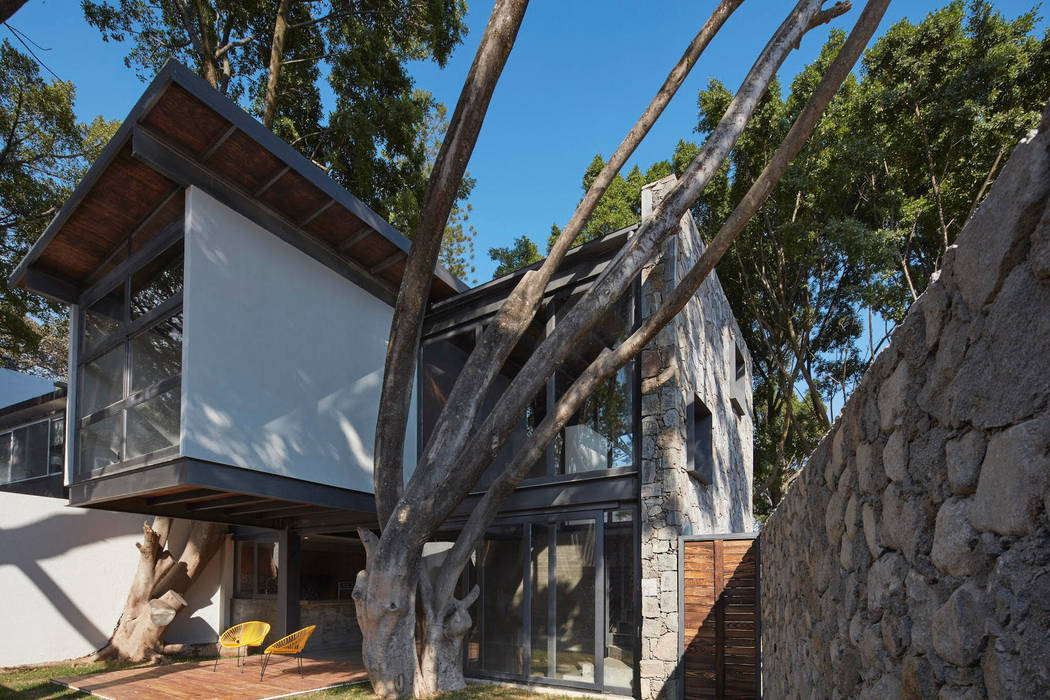 casa 3 arboles, PETRAM ARQUITECTURA PETRAM ARQUITECTURA Casas pequenas