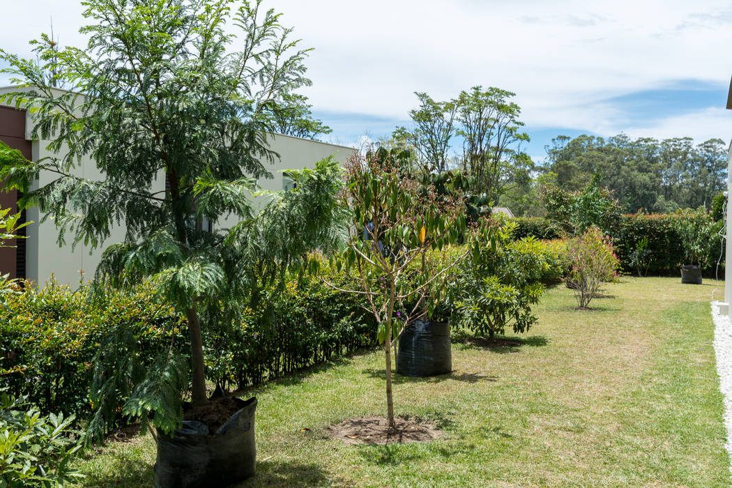 Bosque Nativo TERRA Prados y jardines Jardines de estilo rural