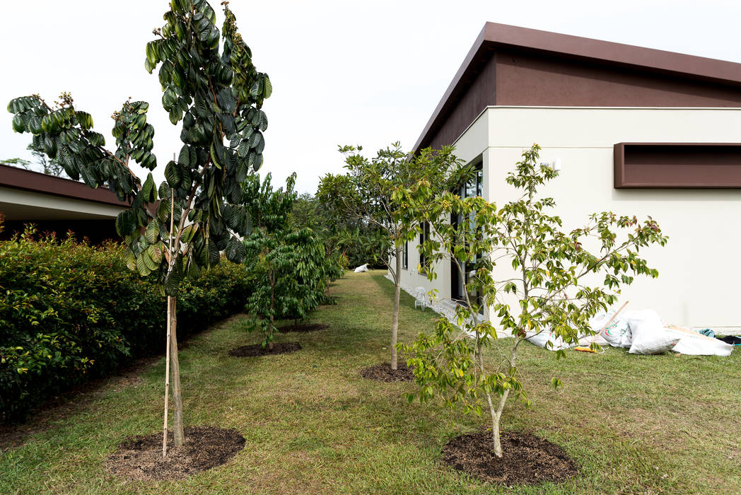 Diseño Bosque Nativo Cliente Llanogrande - Antioquia, TERRA Prados y jardines TERRA Prados y jardines Jardines de estilo rural