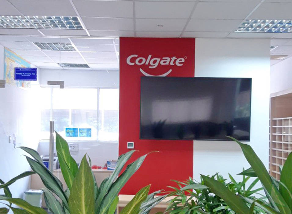 VĂN PHÒNG NHÀ MÁY COLGATE - PALMOLIVE, VAN NAM FURNITURE & INTERIOR DECORATION CO., LTD. VAN NAM FURNITURE & INTERIOR DECORATION CO., LTD. Phòng học/văn phòng phong cách hiện đại