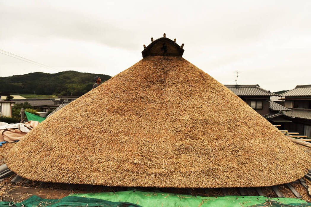 愛知の茅葺き再生［茅葺き］, 水野設計室 水野設計室 Roof