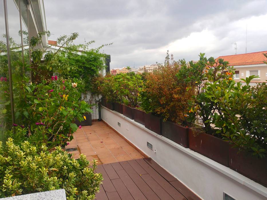 La terraza en otoño homify Balcones y terrazas de estilo moderno terraza,diseño,plantas,arbustos