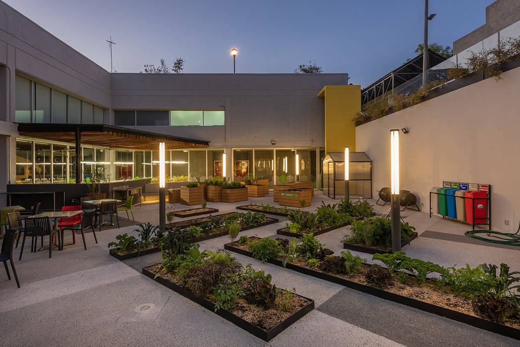 Adamá Lab, ARCO Arquitectura Contemporánea ARCO Arquitectura Contemporánea Modern garden