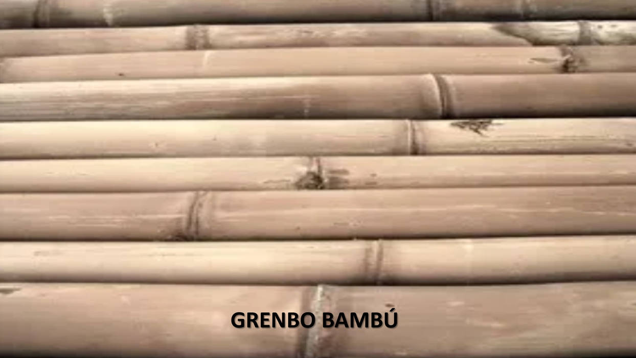 BAMBU, GRENBO GRENBO Interior garden Bamboo Green Interior landscaping