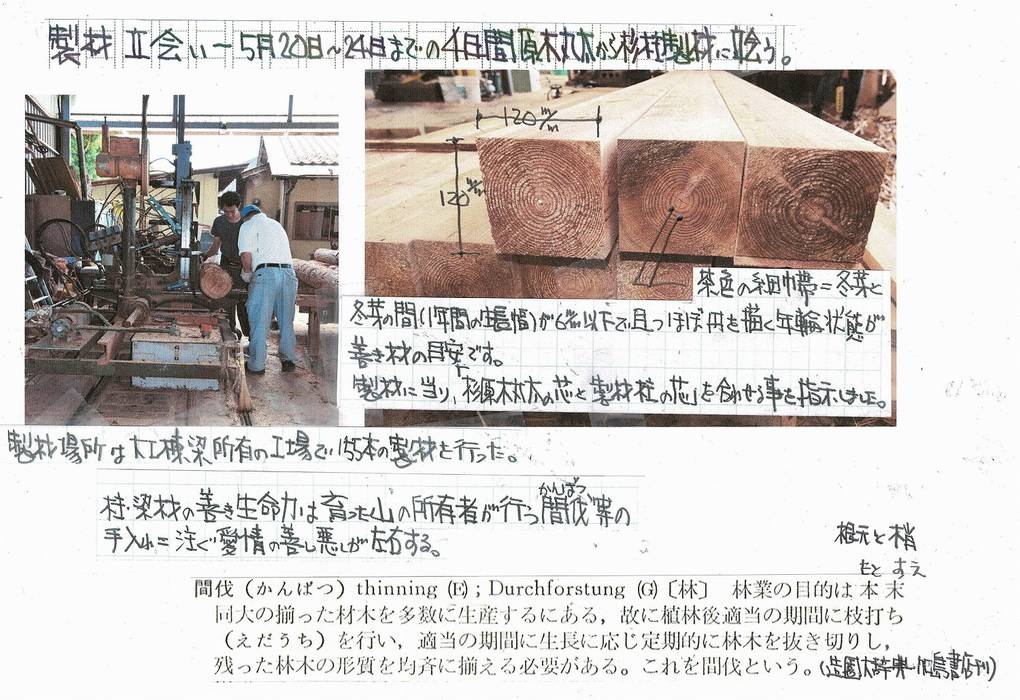 樹 中村昌平建築事務所 Homify 樹 中村昌平建築事務所 Homify