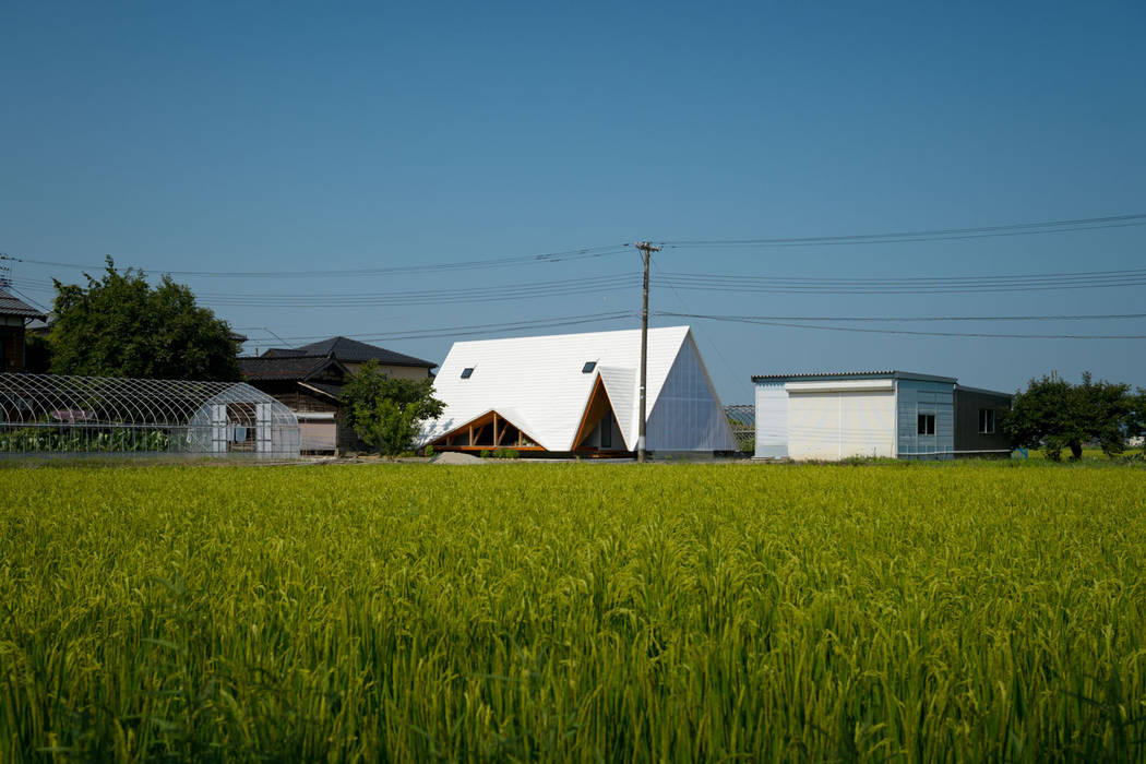 hara house, Takeru Shoji Architects.Co.,Ltd Takeru Shoji Architects.Co.,Ltd Scandinavian style houses