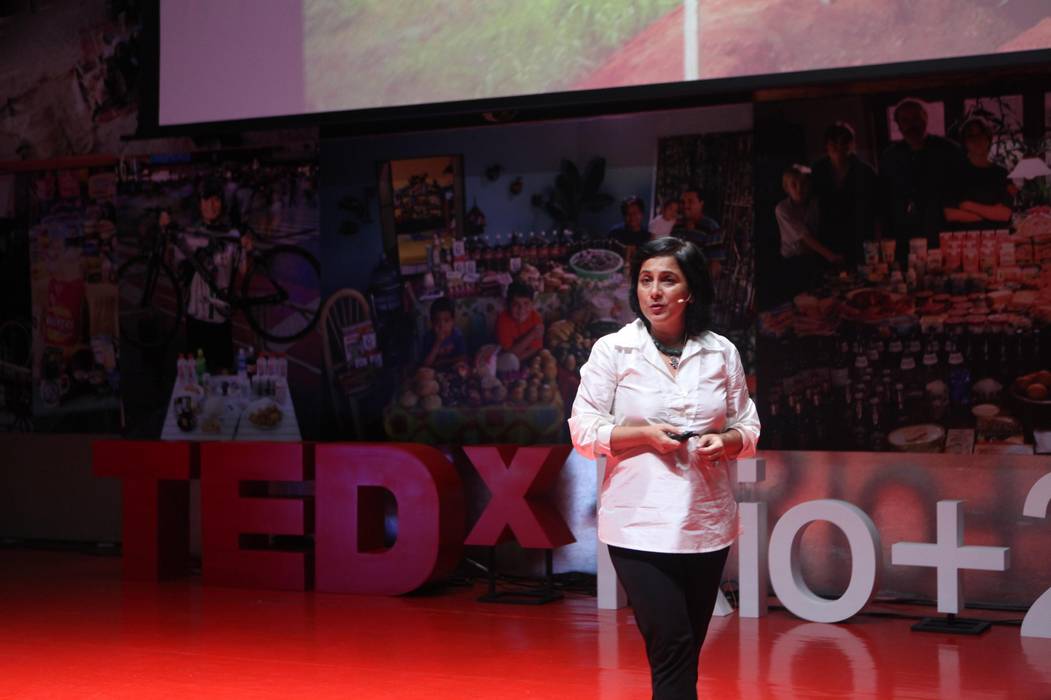 Palestra no TED x do evento Rio Viviane Cunha Arquitetura Casas modernas