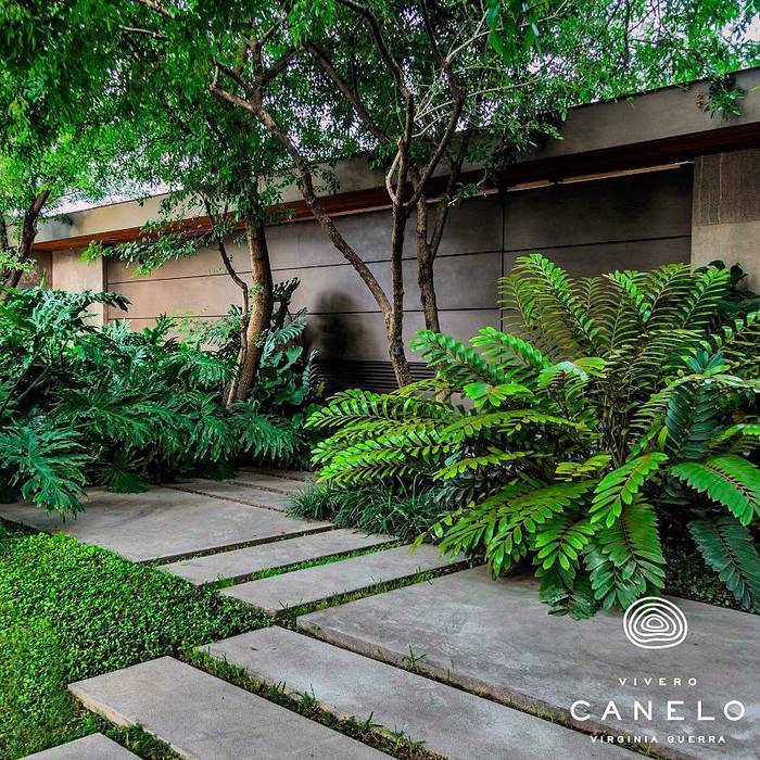 Casa FL • Proyecto residencial • Arquitectura paisajista // SPGG, Canelo exteriores Canelo exteriores Front garden