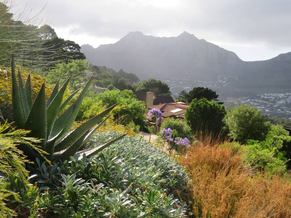 The Mountain Estate Brett Walker Landscaping Front yard