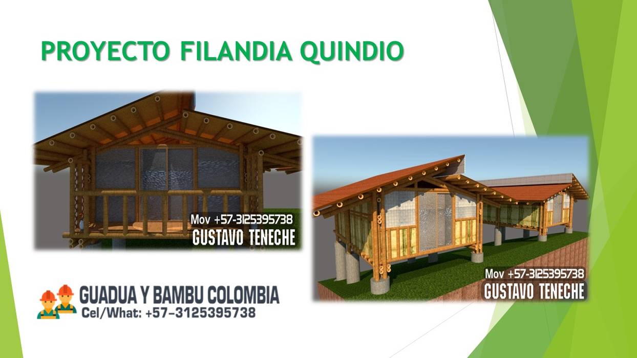 PROYECTO DE CONSTRUCCION CASAS VEGETARIANAS O SOSTENIBLES, ACERO VEGETAL GUADUA BAMBU , GUADUA Y BAMBU COLOMBIA GUADUA Y BAMBU COLOMBIA