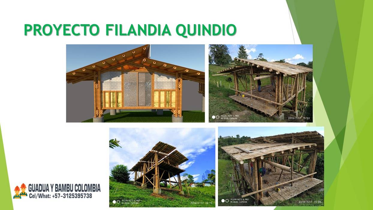 PROYECTO DE CONSTRUCCION CASAS VEGETARIANAS O SOSTENIBLES, ACERO VEGETAL GUADUA BAMBU , GUADUA Y BAMBU COLOMBIA GUADUA Y BAMBU COLOMBIA