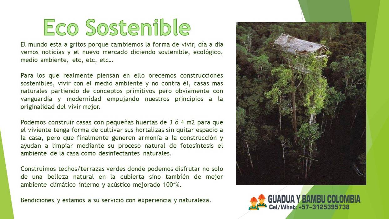 PROYECTO DE CONSTRUCCION CASAS VEGETARIANAS O SOSTENIBLES, ACERO VEGETAL GUADUA BAMBU , GUADUA Y BAMBU COLOMBIA GUADUA Y BAMBU COLOMBIA