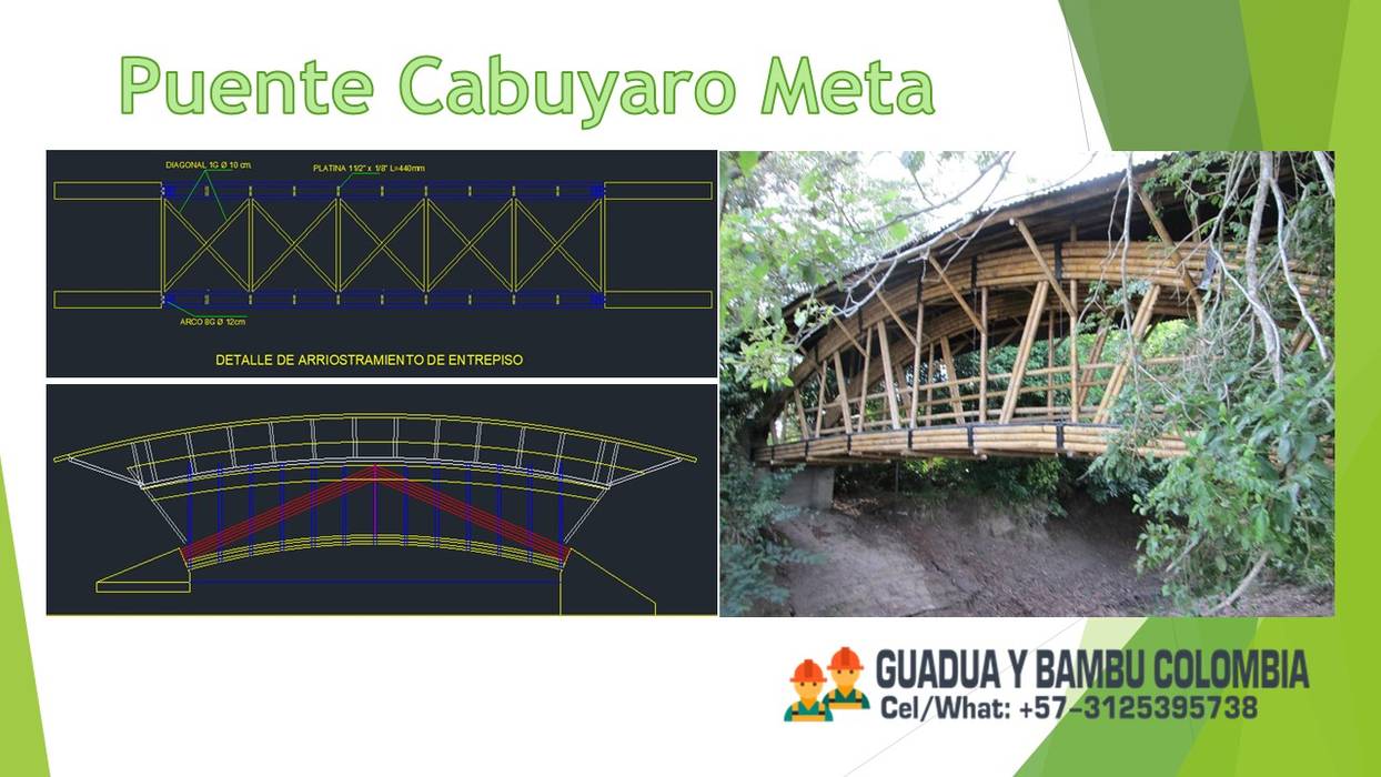 PROYECTO DE CONSTRUCCION CASAS VEGETARIANAS O SOSTENIBLES, ACERO VEGETAL GUADUA BAMBU , GUADUA Y BAMBU COLOMBIA GUADUA Y BAMBU COLOMBIA