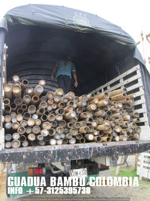 LA VEGA CUNDINAMARCA, TRANSFORMACION Y RENOVACION DE CASA, GUADUA Y BAMBU COLOMBIA GUADUA Y BAMBU COLOMBIA