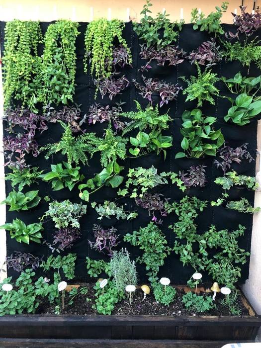 JARDIN VERTICAL Trébol jardinería Jardines en la fachada jardin vertical, muro verde, green wall, plantas