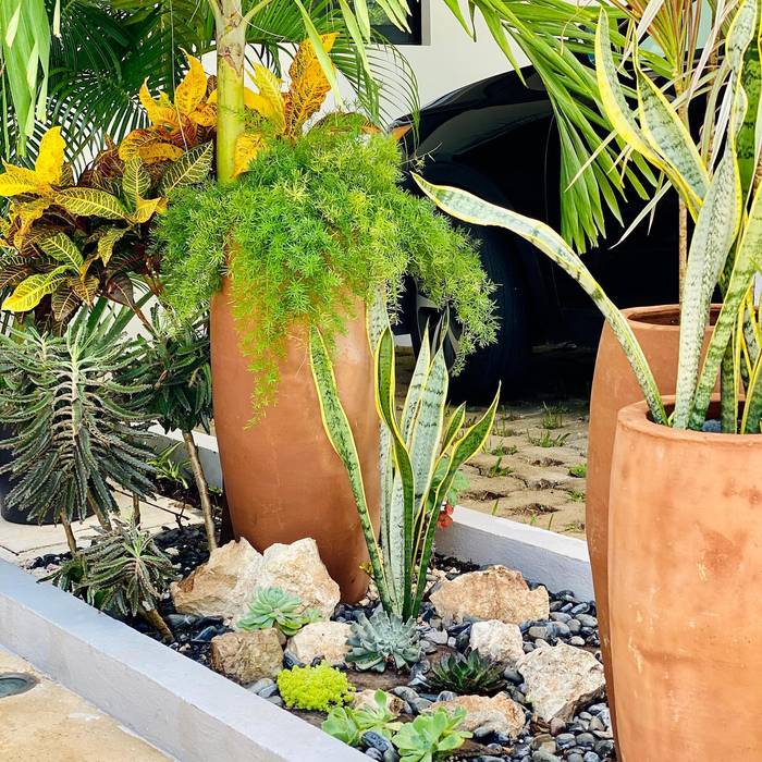 Decoración de jardín antes y después , baobab deco boutique | homify