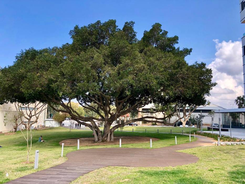 Exterpark Magnet Bamboo FSC Natural Herzliya University Israele, Exterpark Exterpark Commercial spaces Solid Wood Multicolored Schools