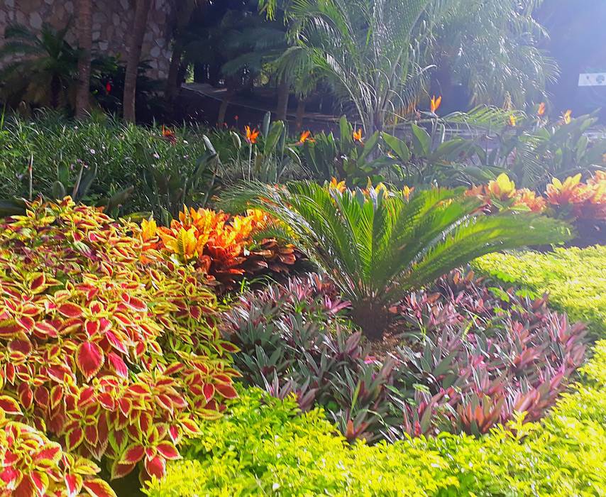 Detalle en jardín derecho EcoEntorno Paisajismo Urbano Antejardines