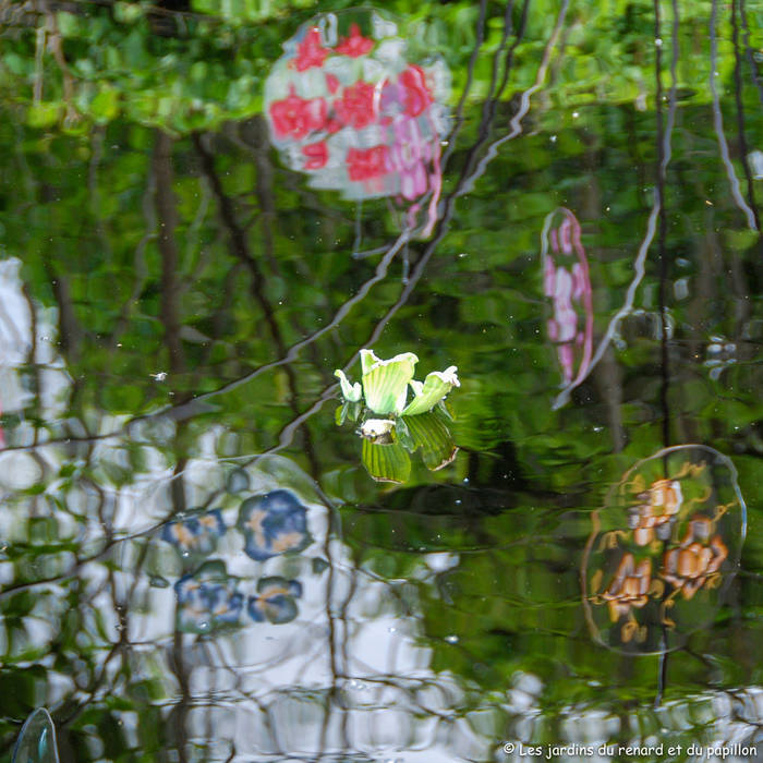 Elixir floral, Les jardins du renard et du papillon Les jardins du renard et du papillon Modern Garden