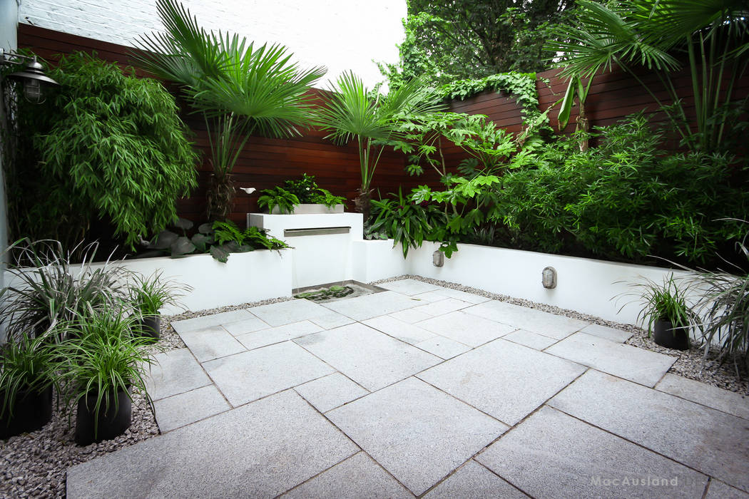 Patio & Water Feature MacAusland Design Modern garden exotic,jungle,palm,outdoor dining,planters,decking,water feature,cladding,timber,stone,granite,rendering,walls,courtyard,lighting