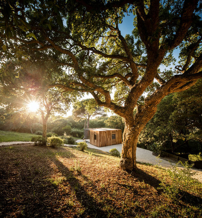 Refúgio em Madeira, Studio A+1 Studio A+1 Maisons préfabriquées Bois massif Multicolore