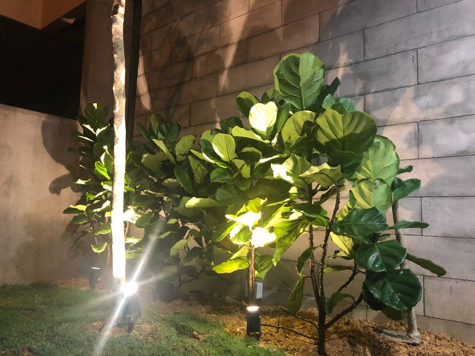 Trees stand up in front of concrete blocks N O T Architecture Sdn Bhd Front yard