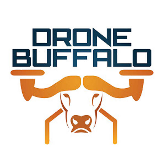 Drone Videography, Drone Buffalo Drone Buffalo カントリーデザインの リビング