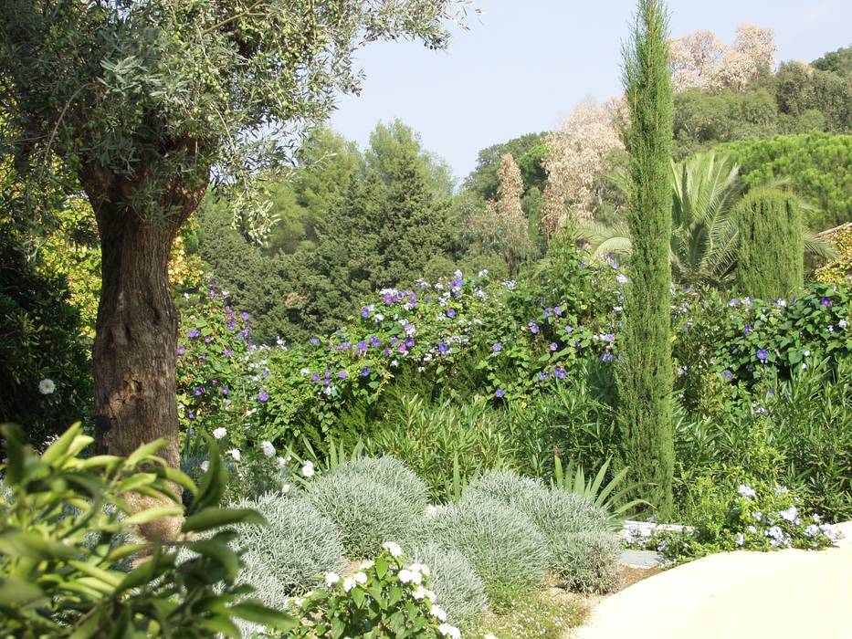 Villa Saint Tropez , Giambenini srl Giambenini srl Mediterranean style garden Plants & flowers