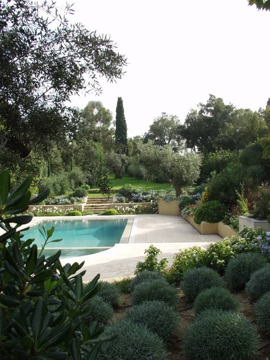 Villa Saint Tropez , Giambenini srl Giambenini srl Mediterranean style garden Plants & flowers